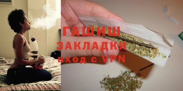 индика Слюдянка
