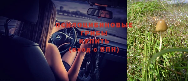 СК Семикаракорск