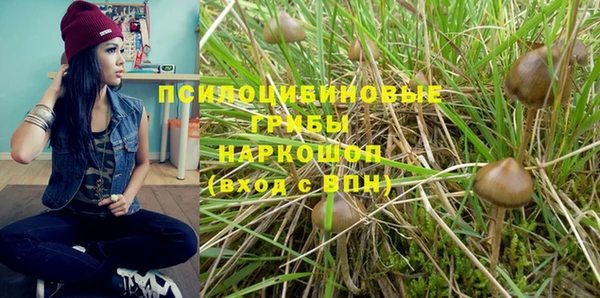 хмурый Снежинск