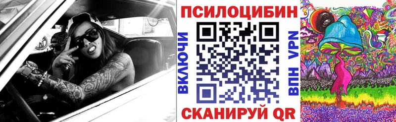 Галлюциногенные грибы MAGIC MUSHROOMS  KRAKEN как зайти  Высоцк 